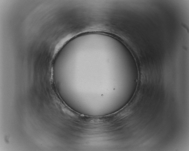 X0000103481366200809261918