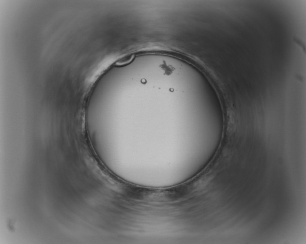 X0000103481367200809261918
