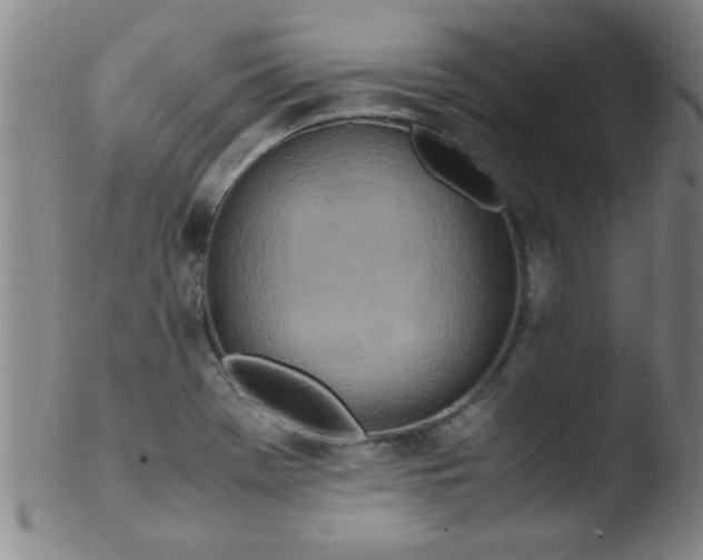 X0000103481369200809261918