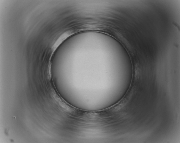 X0000103481370200809261917