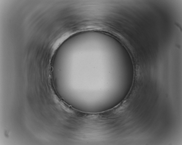 X0000103481373200809261917