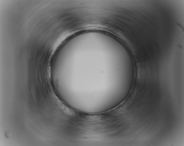 X0000103481376200809261917