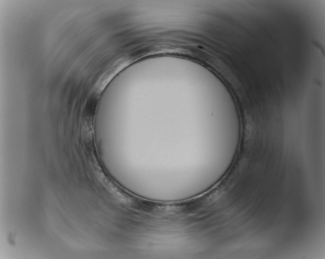 X0000103481377200809261917