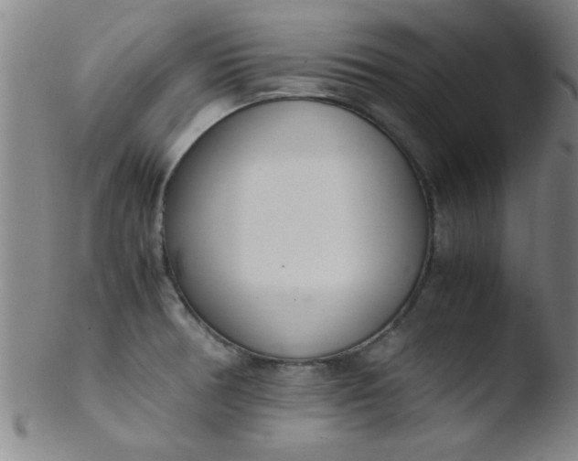 X0000103481378200809261917