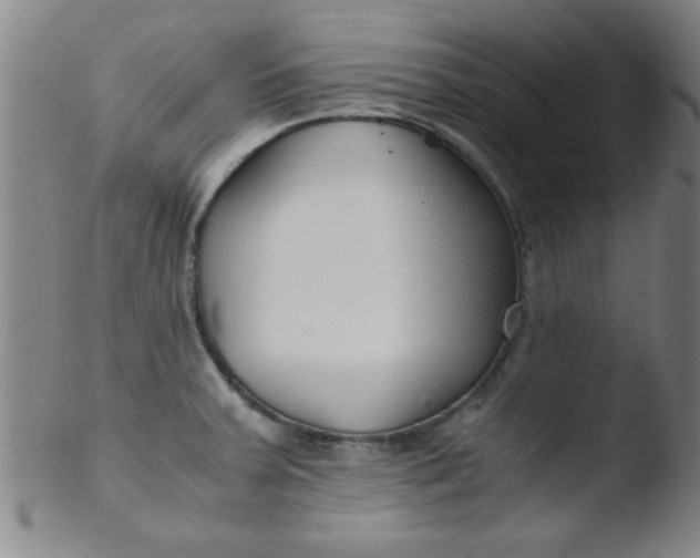 X0000103481379200809261917
