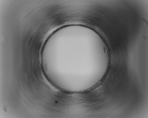 X0000103481380200809261917