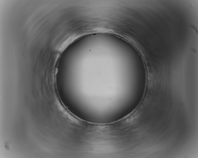 X0000103481381200809261917