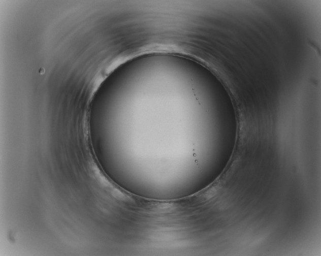 X0000103481382200809261917