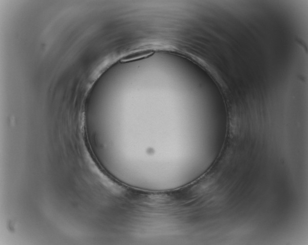 X0000103481383200809261917