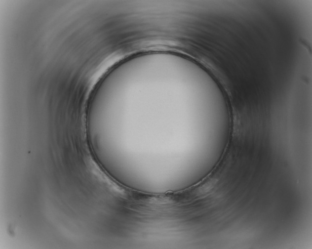 X0000103481384200809261917