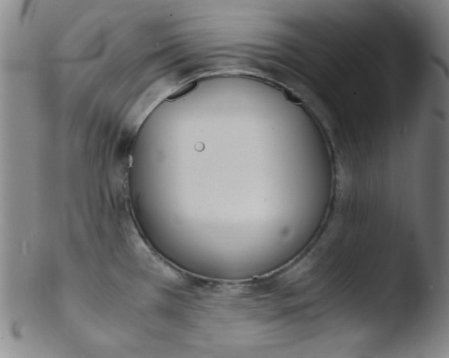 X0000103481385200809261917