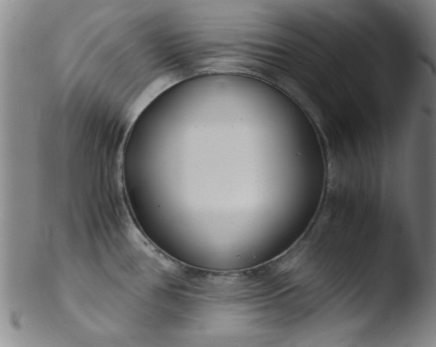 X0000103481386200809261917