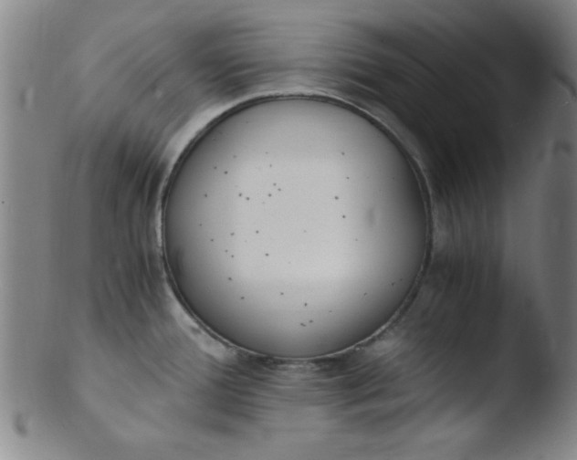 X0000103481388200809261917