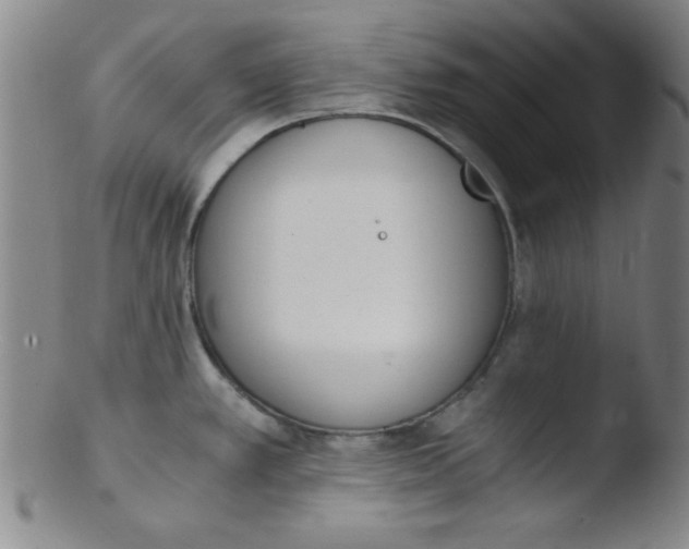 X0000103481389200809261917