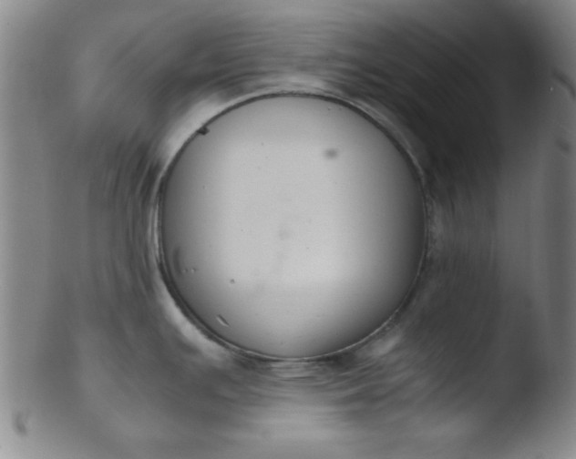 X0000103481391200809261917