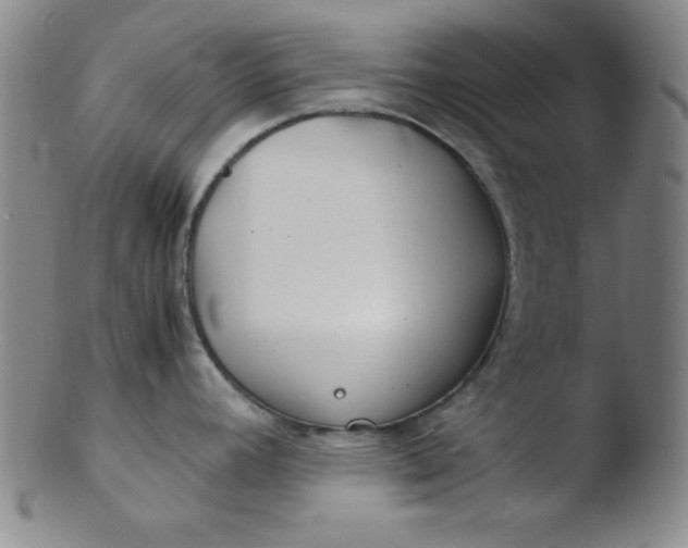 X0000103481392200809261917