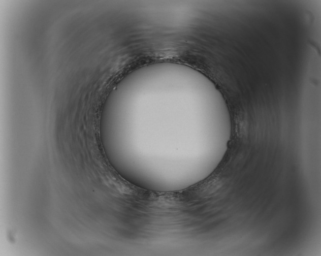 X0000103481393200809261917