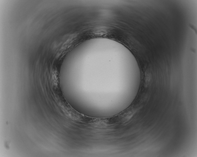 X0000103481394200809261917