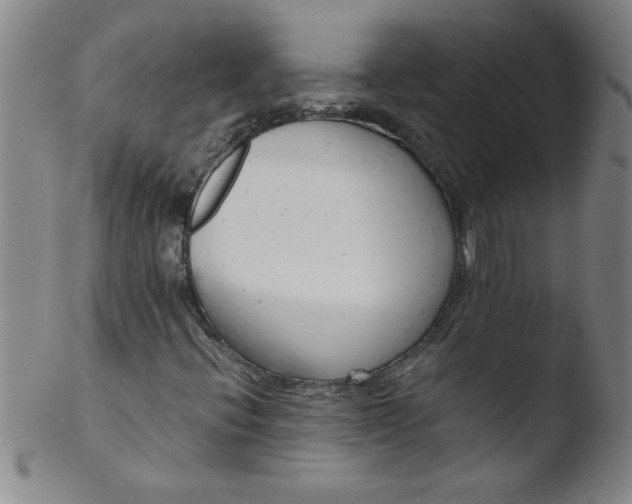 X0000103481396200809261917