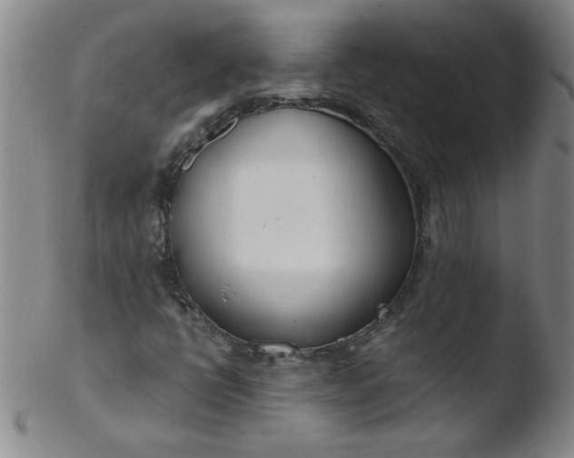 X0000103481398200809261917