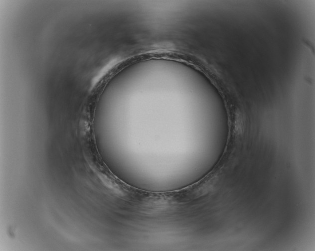 X0000103481400200809261917