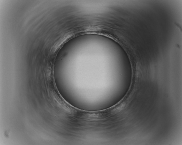 X0000103481401200809261917