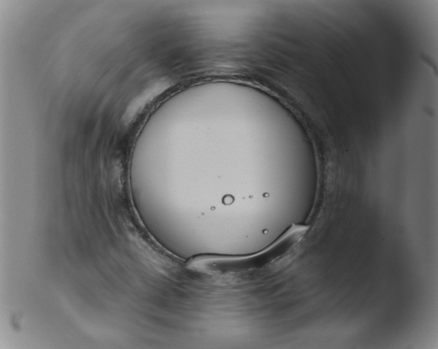 X0000103481402200809261917