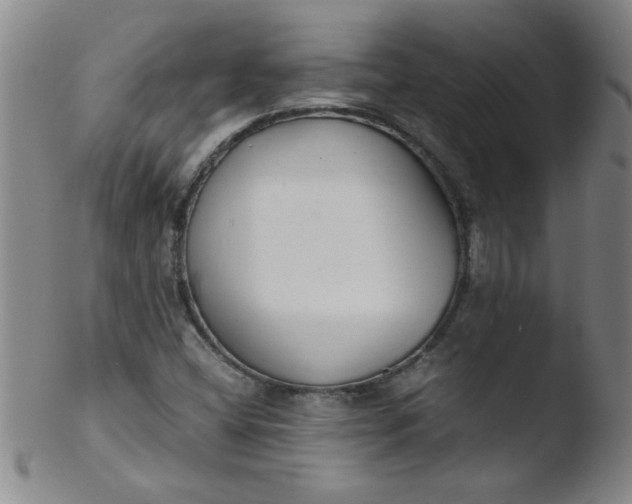 X0000103481404200809261917