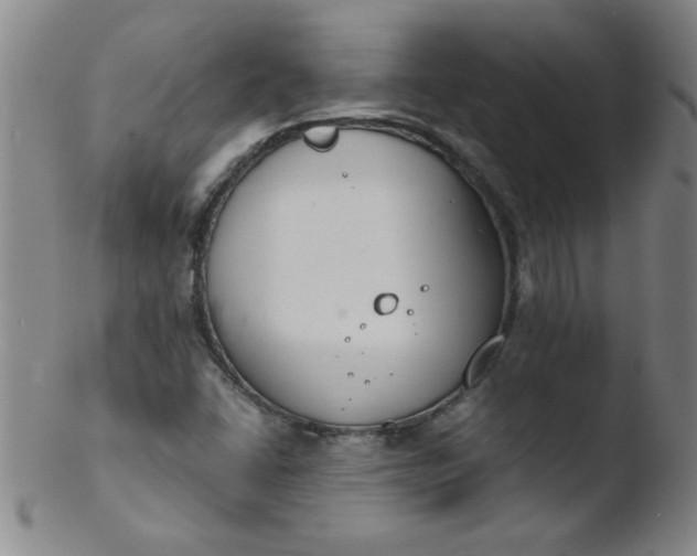 X0000103481406200809261917