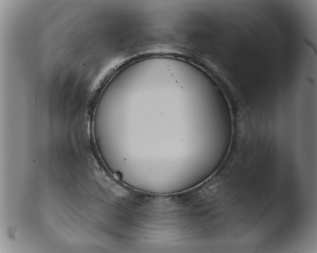 X0000103481408200809261917