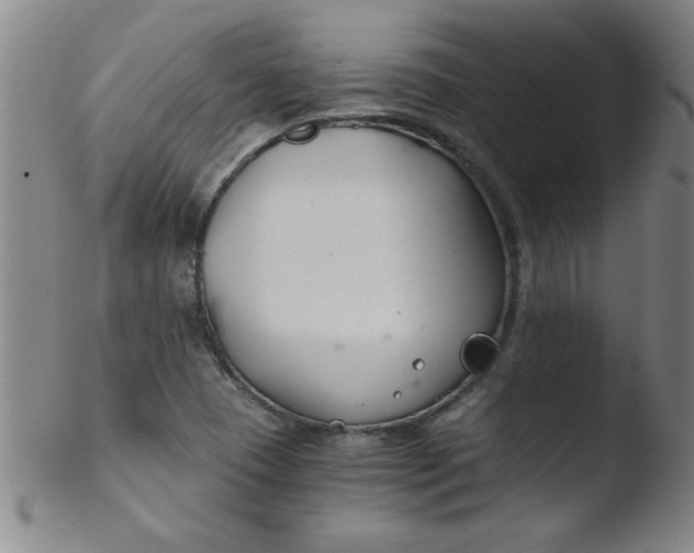 X0000103481409200809261917
