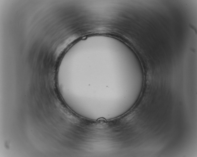 X0000103481410200809261917