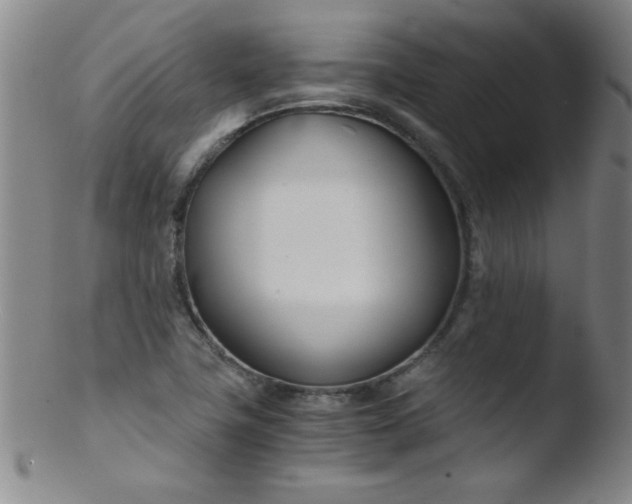 X0000103481411200809261917
