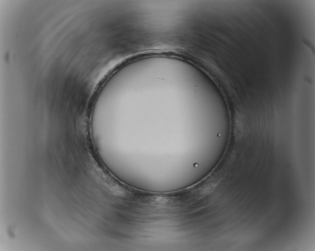 X0000103481412200809261917