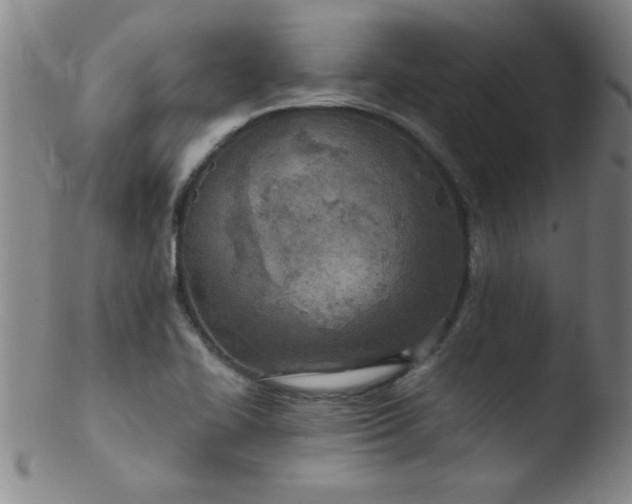 X0000103481414200809261917