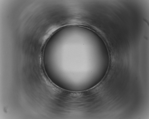 X0000103481415200809261917