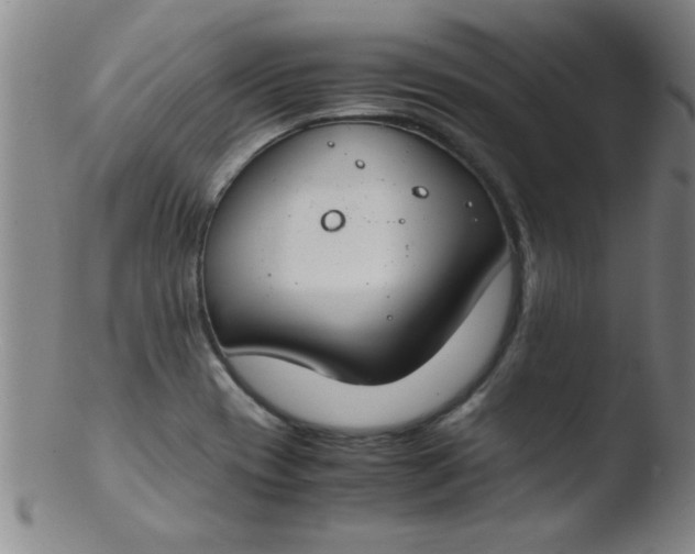 X0000103481417200809261917