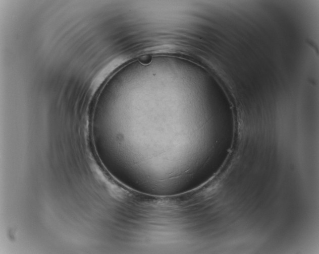 X0000103481418200809261917
