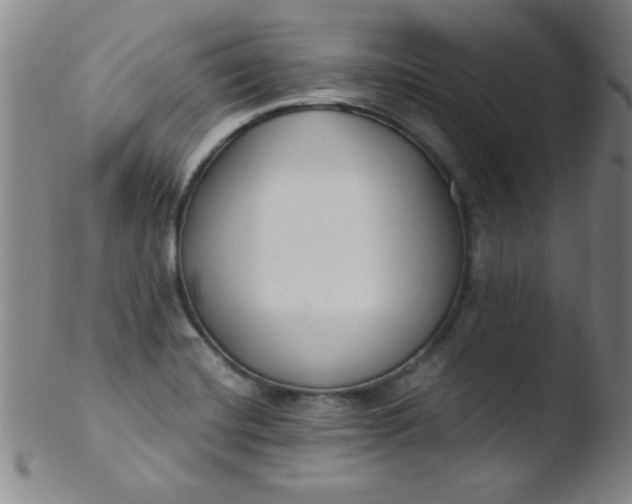 X0000103481420200809261917