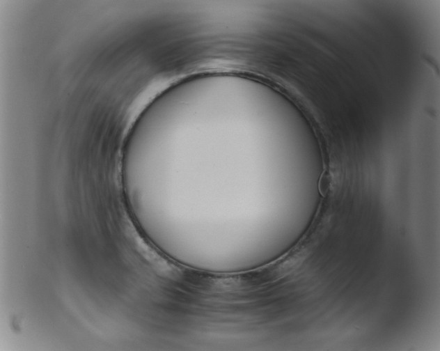 X0000103481421200809261917