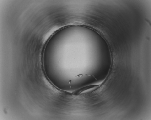 X0000103481422200809261917
