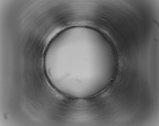 X0000103481424200809261917