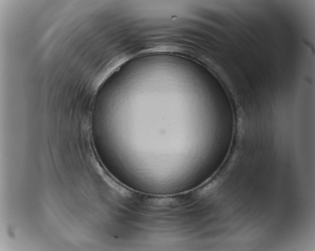 X0000103481425200809261917