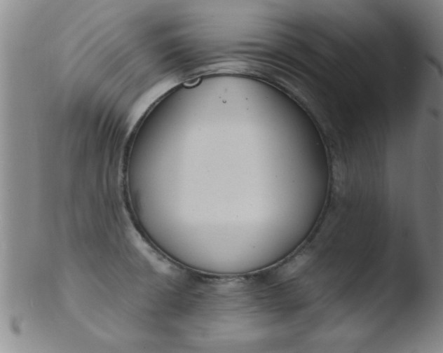 X0000103481426200809261917