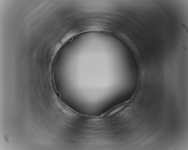 X0000103481427200809261917