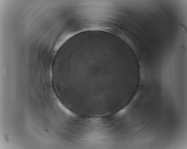 X0000103481428200809261917