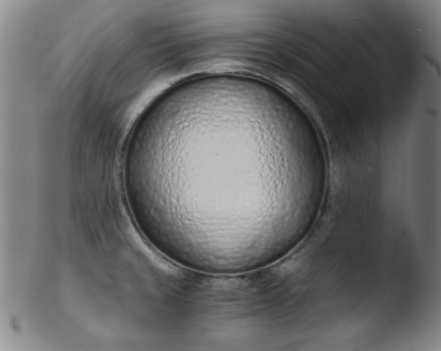 X0000103481429200809261917