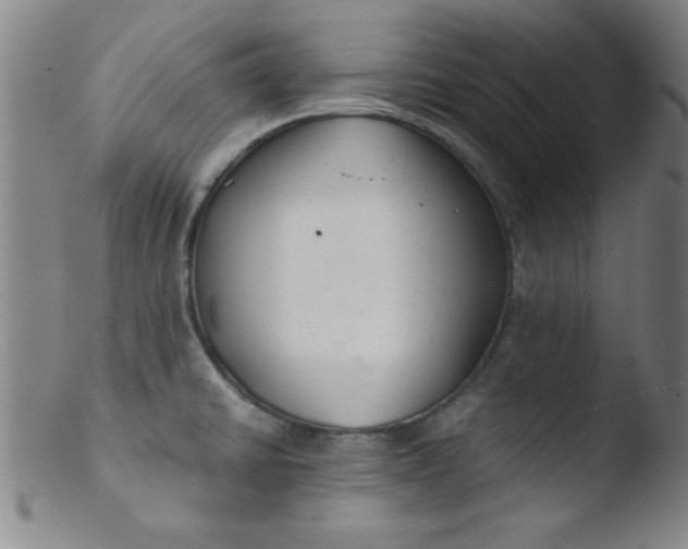 X0000103481430200809261917