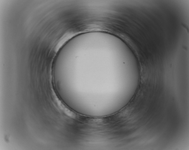 X0000103481431200809261917
