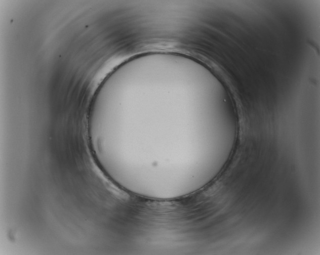 X0000103481432200809261917